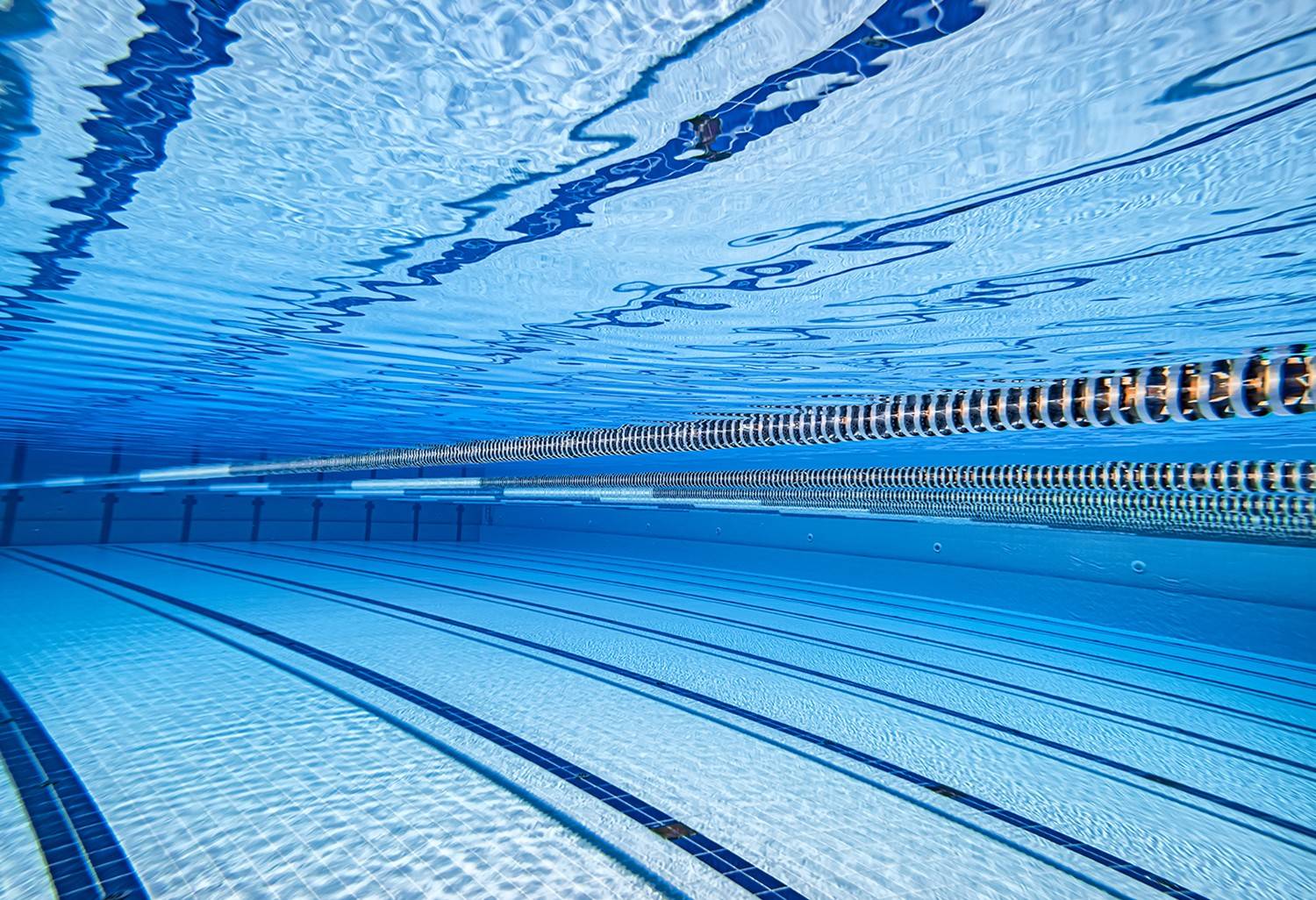 Olympic Swimming Pool: Size, Design & Construction